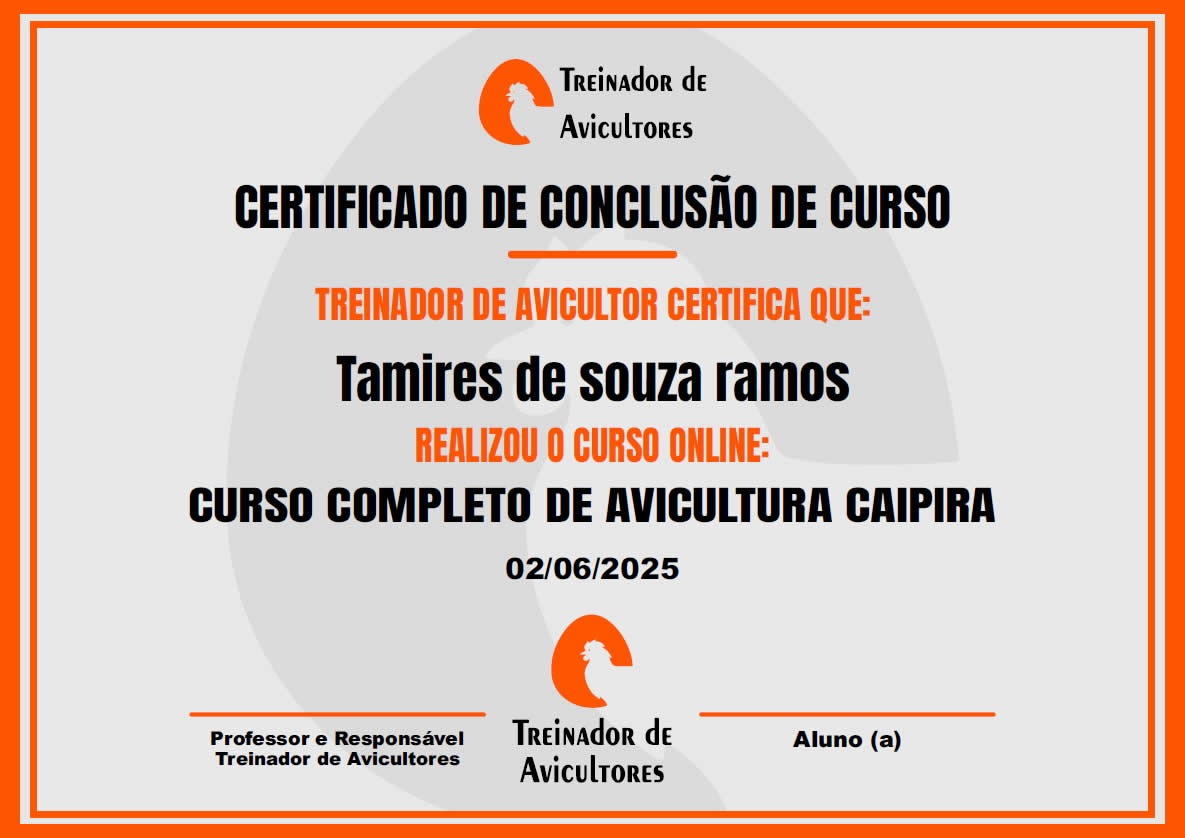 Galinhas Caipiras - Renda Extra